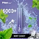 max 6000 puff